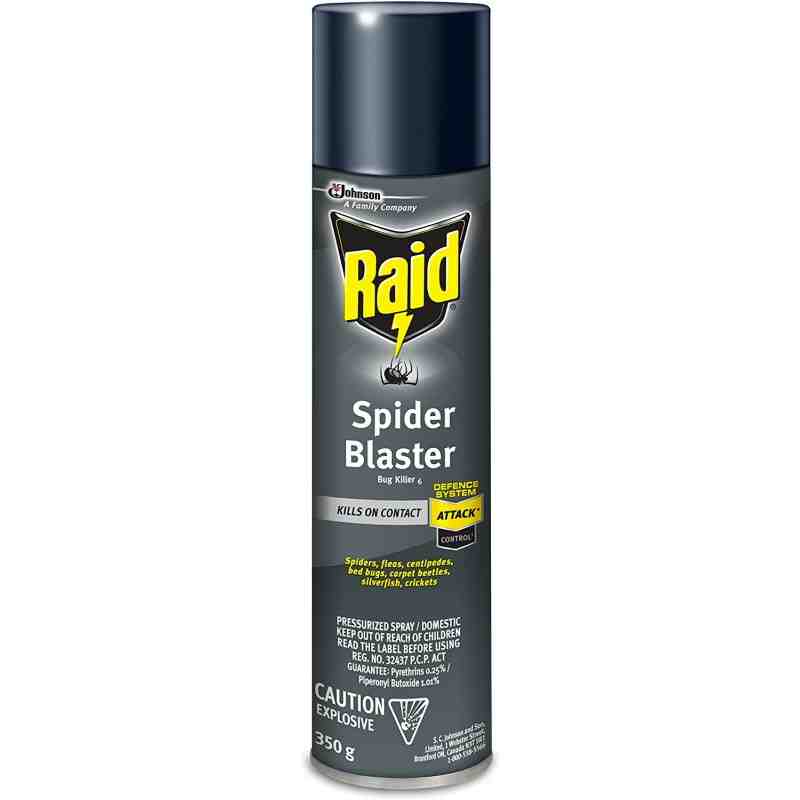 Raid 62300060297 Spider Blaster Bug Killer 6 - 12/350g - [DefendUse.com] - 62300060297 - Raid Max® Home Insect Killer
