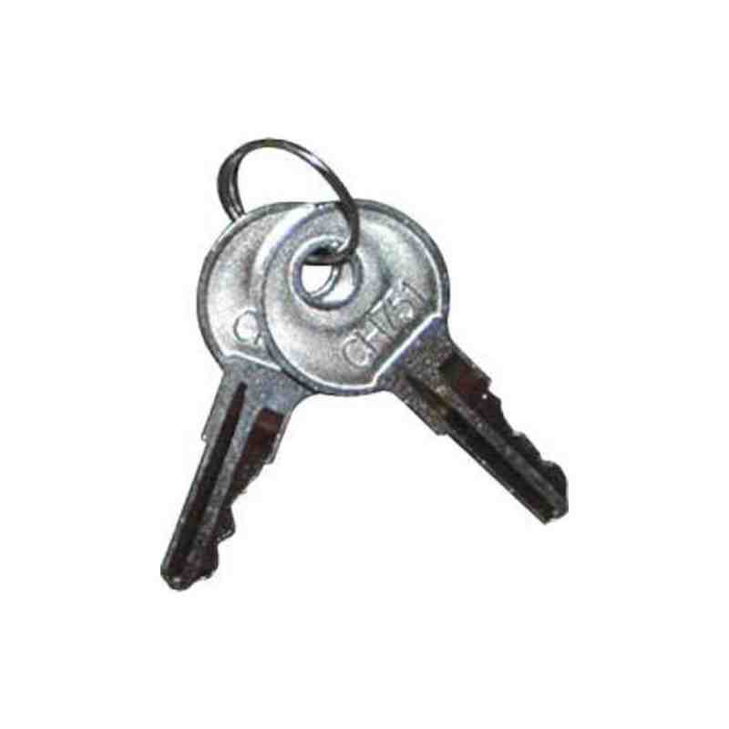 RUBBERMAID Special Made FG6181M20000 Part - 2 Keys for 6181 Cabinet - [DefendUse.com] - FG6181M20000 - Rubbermaid Special Made